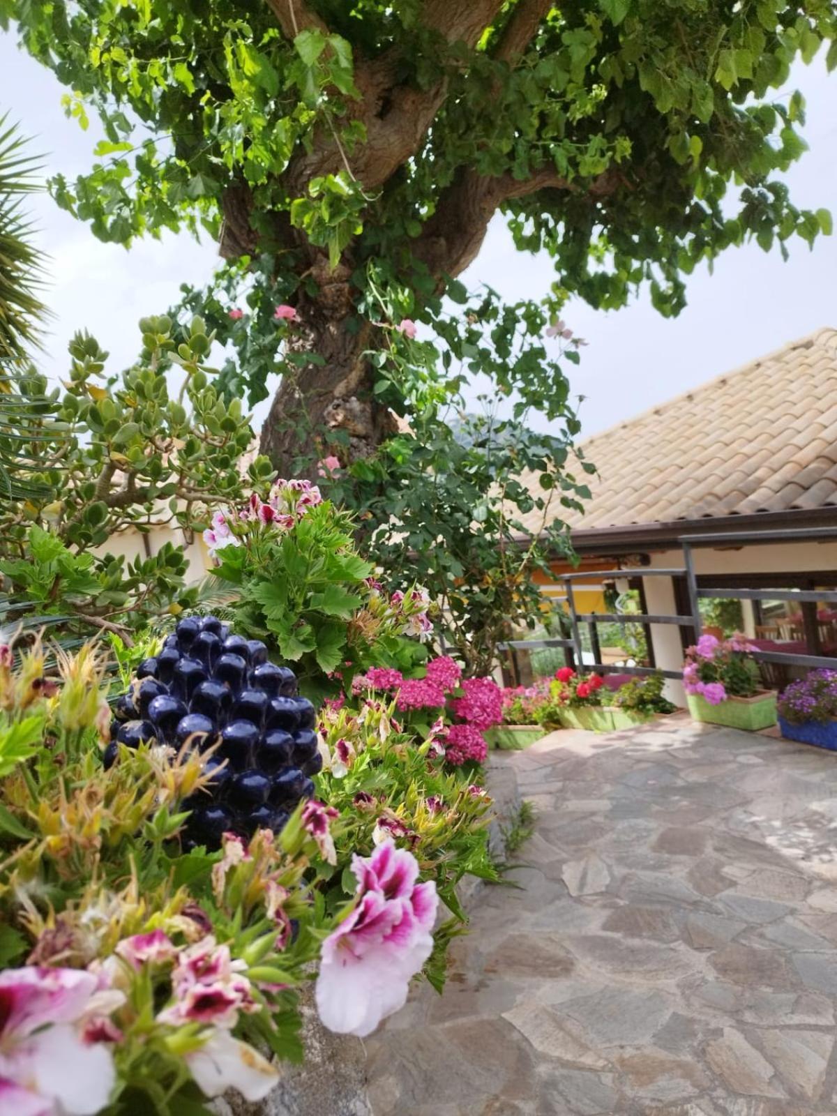 Borgo San Francesco Hotell Gioiosa Marea Eksteriør bilde